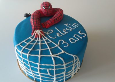 Gâteaux spéciaux : Spiderman